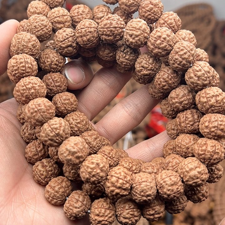 金刚菩提手串舌****家跳跳龙