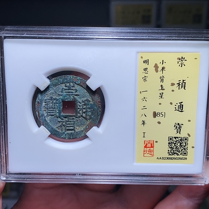 铜瀚海文物A崇祯背星5029