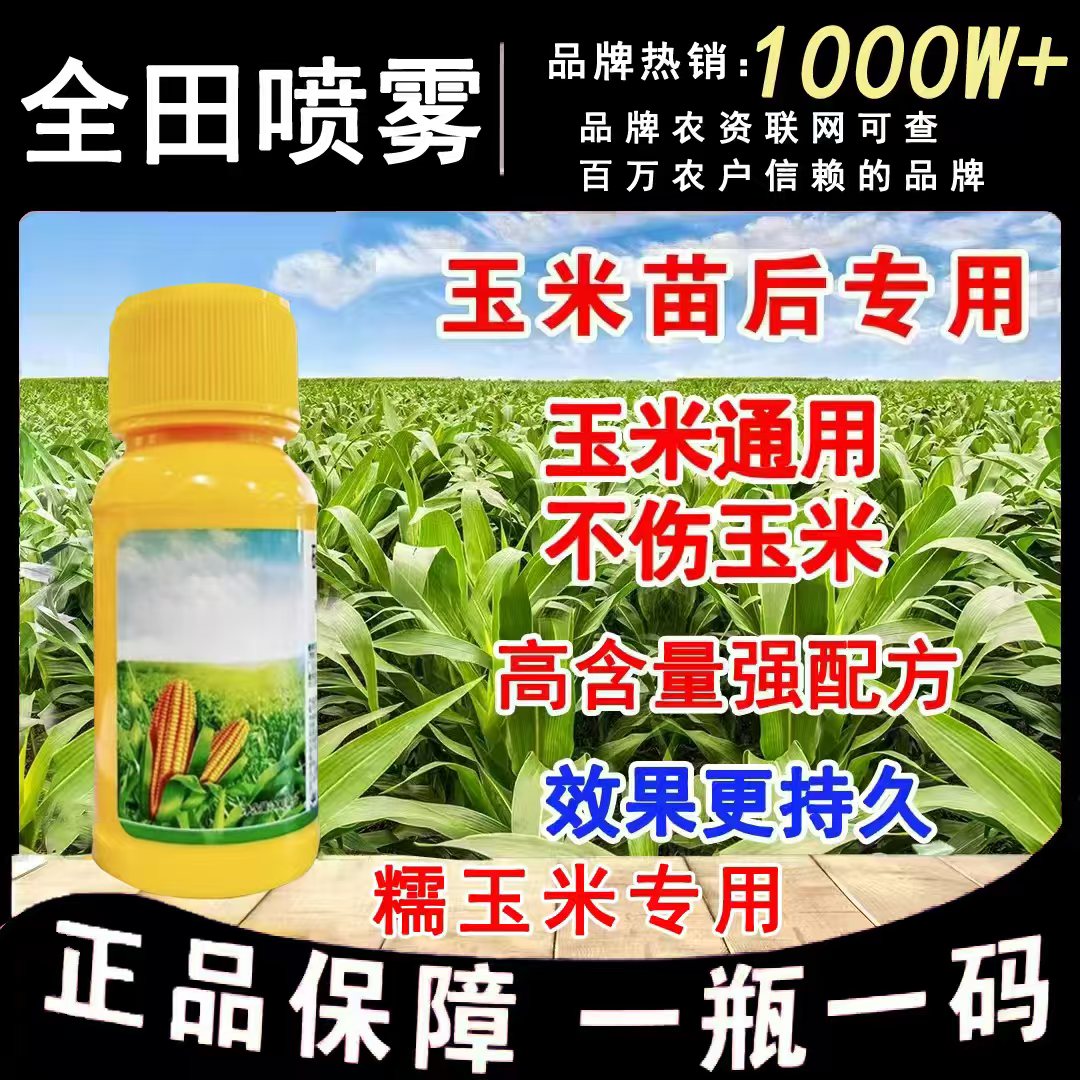 正品保障玉米地苗后甜糯玉米专用不伤玉米苗持久消除