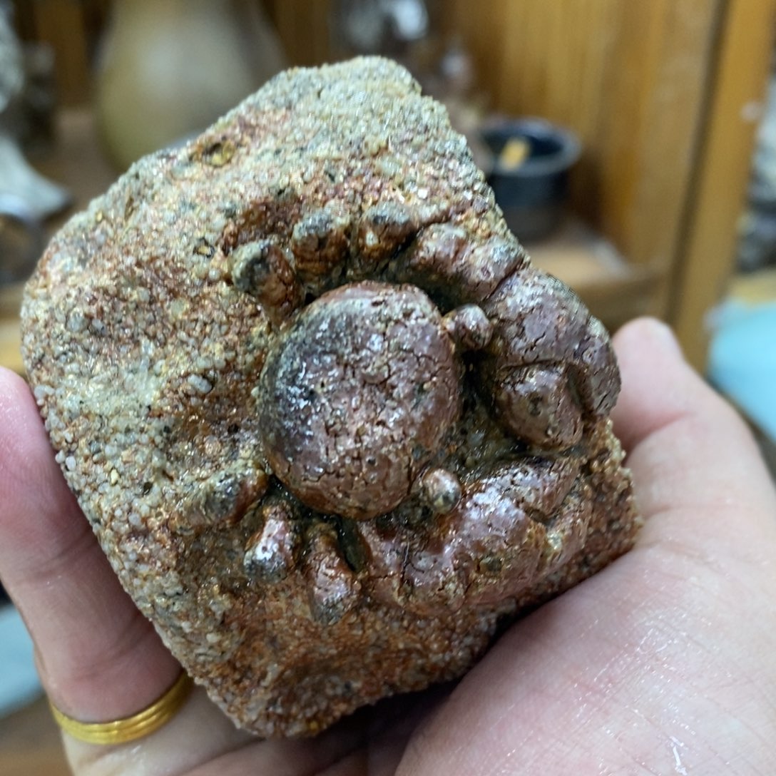 陶园柴烧，精品高货677