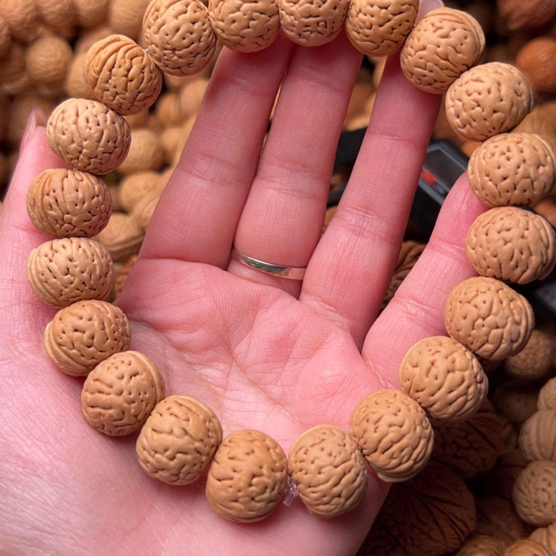 16尺寸野生铁扇桃核