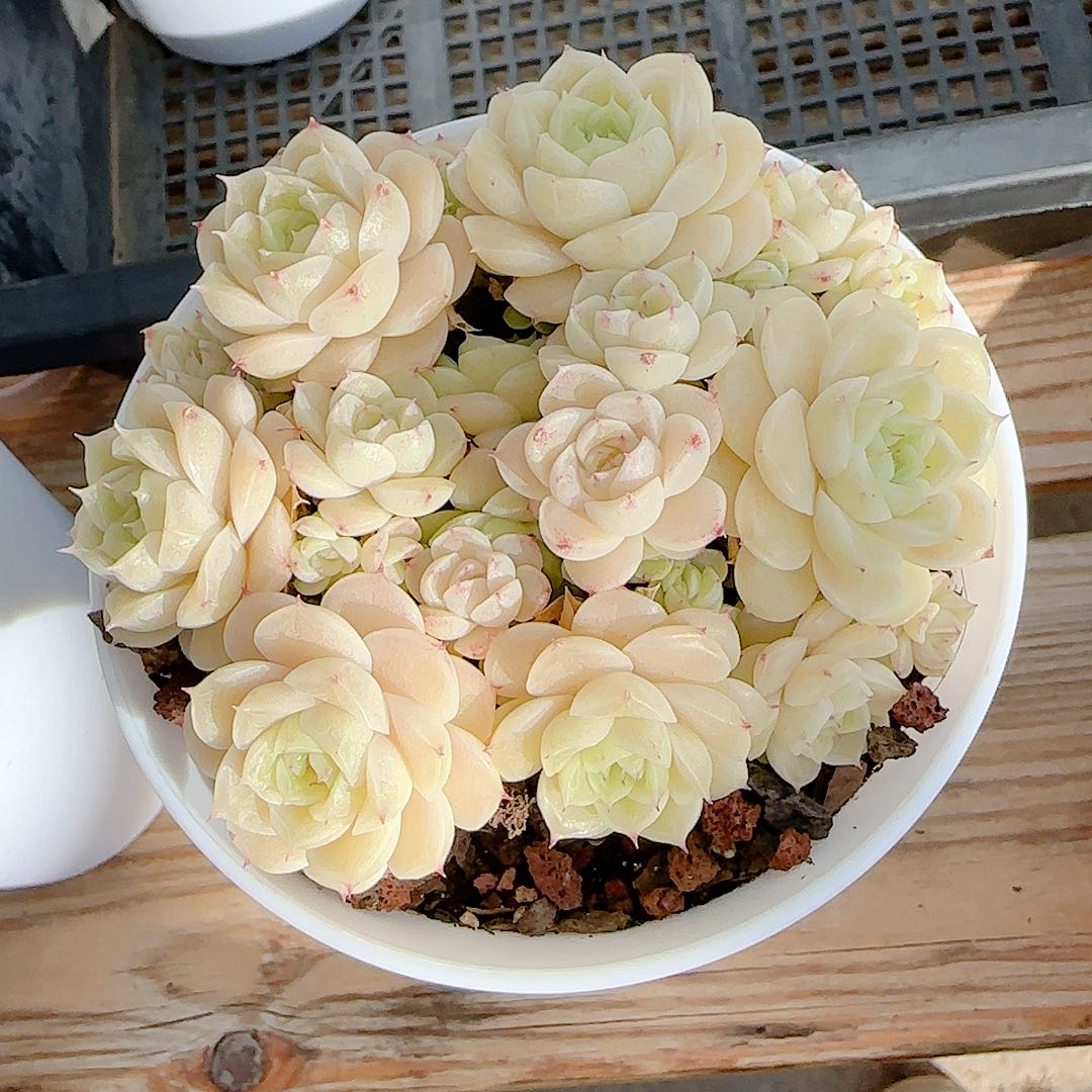 0102-94（ttp-28-2）优选