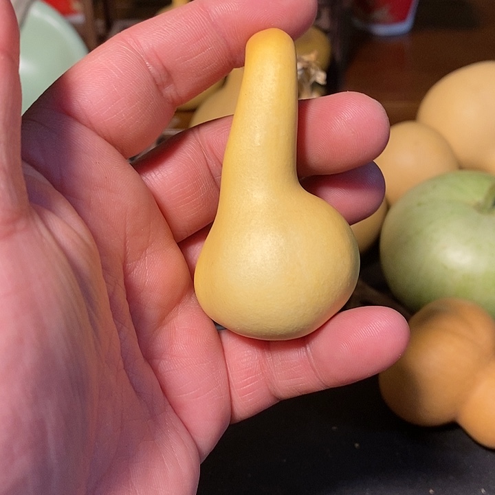 D****3精品葫芦手把葫芦80