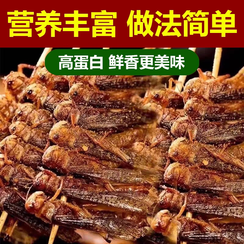 【精品推荐】【纯母】农家养殖鲜活速冻蚂蚱带子带黄鲜美爆汁