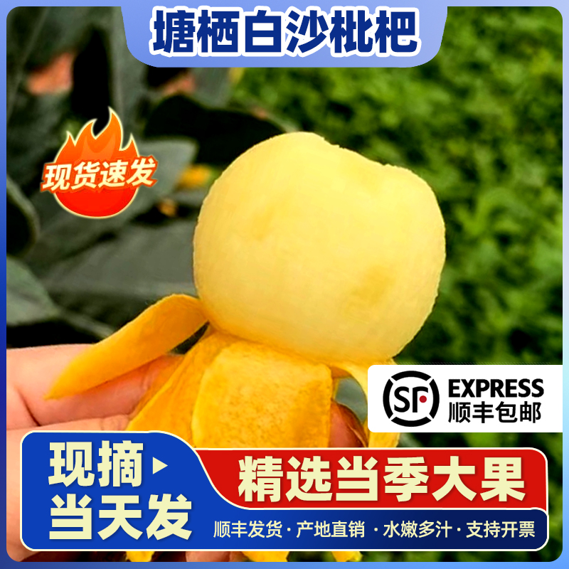 【塘栖枇杷】2025正宗塘栖软条白沙枇杷琵琶果新鲜当季水果软条白沙2斤3斤4斤5斤浙江省