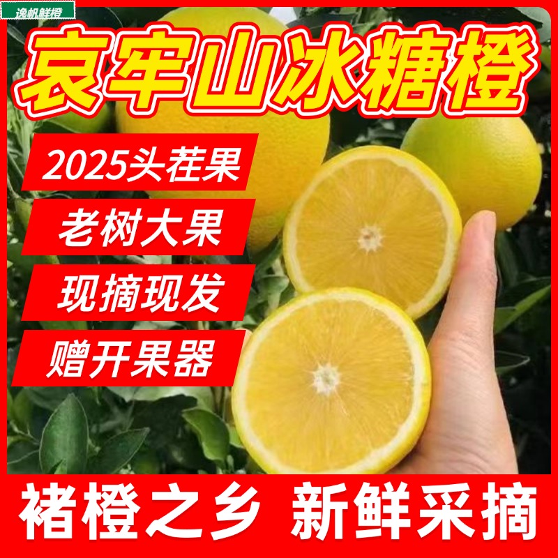 云南哀牢山精品果礼盒装冰糖橙当季新鲜水果花斑果清甜爆汁