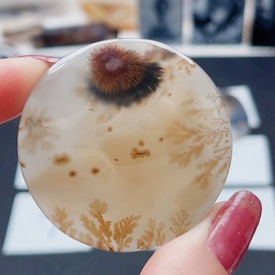 玛瑙/玉髓珠宝奇石未镶嵌