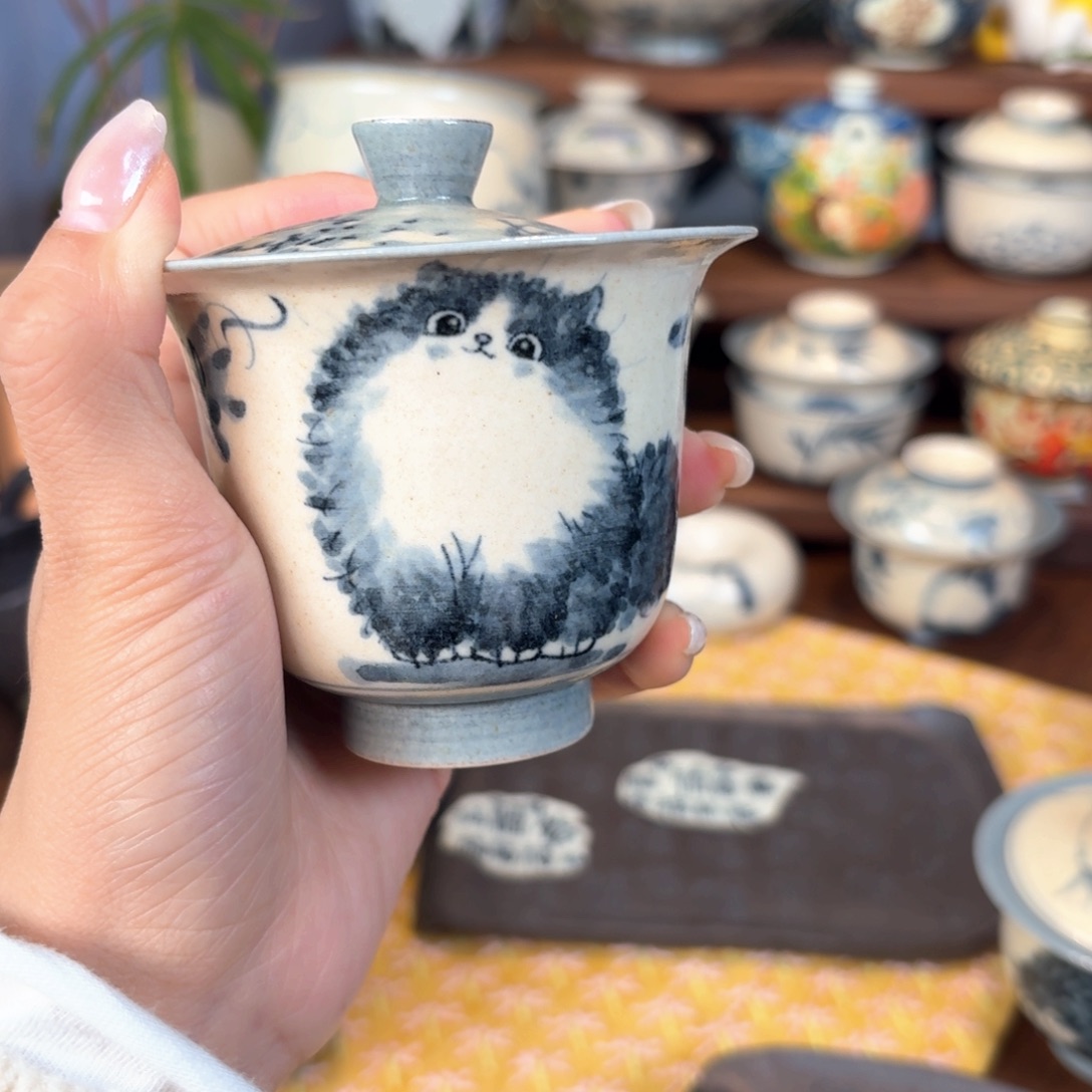 盖碗盖碗盖碗盖501