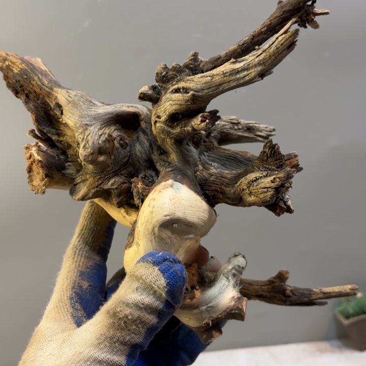 ****㤫崖柏双色造型坨坨