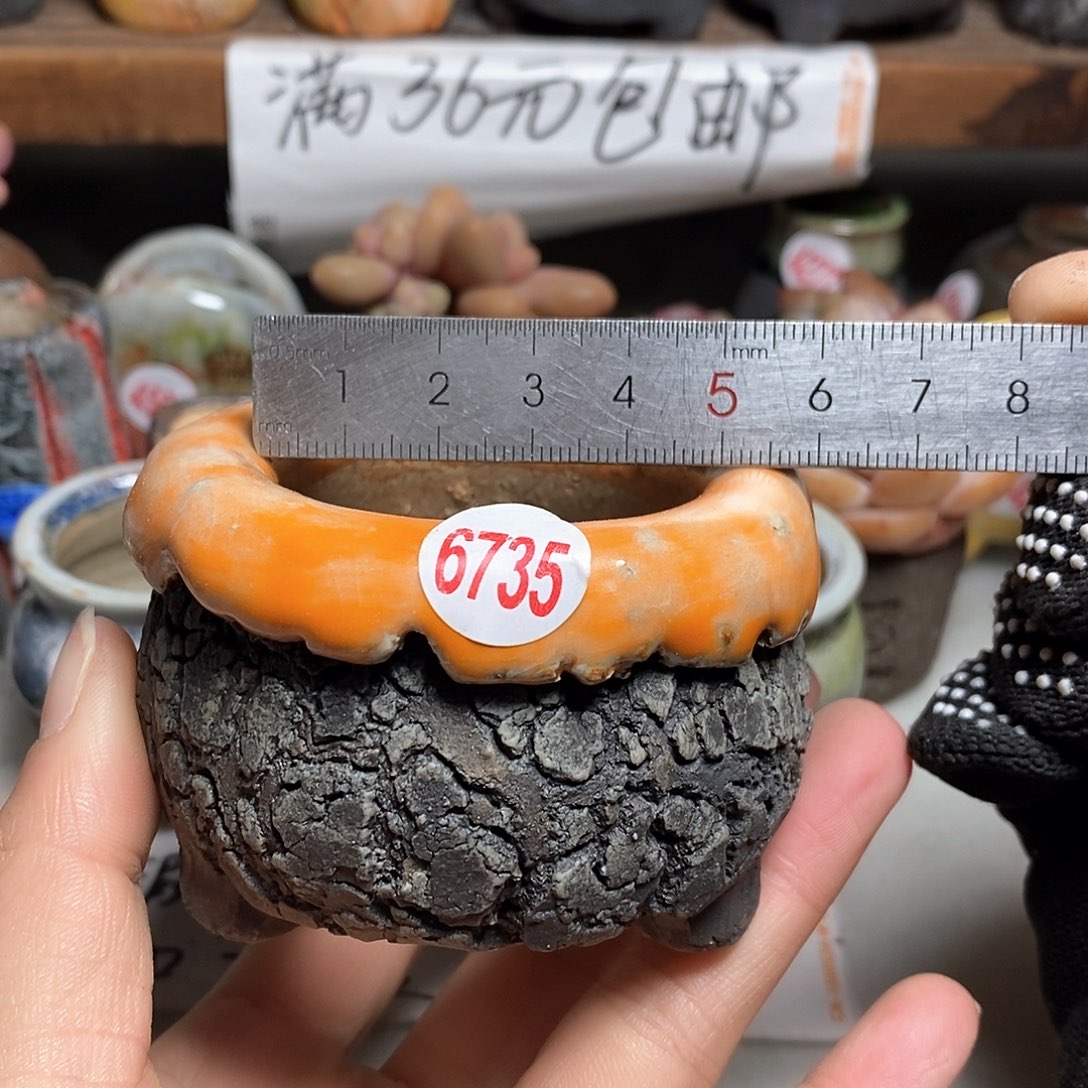 红陶拍5送一个小