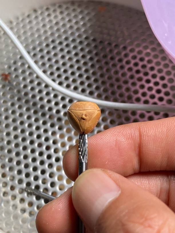 龙眼佛塔尺寸11眼形完美，编号14查看