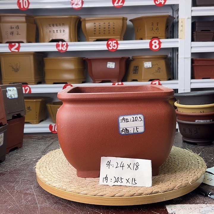 花盆紫砂蛇年大吉