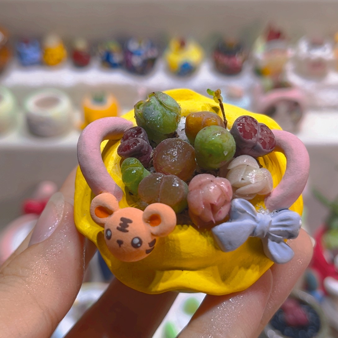 027花海高端多肉带盆带土手工盆