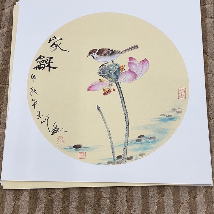 国画花鸟的翅膀和翅膀是一样50.50
