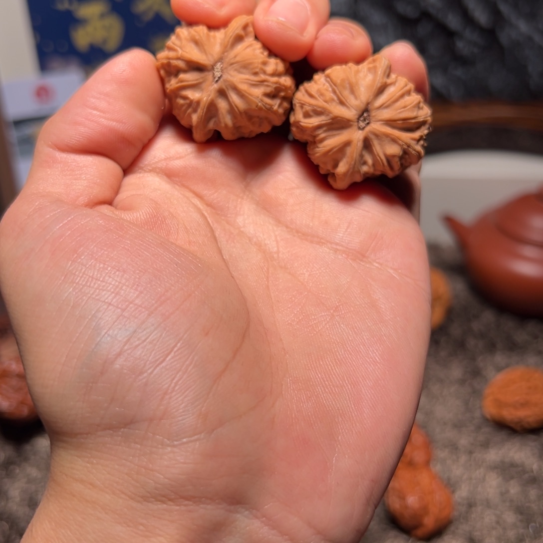 文玩核桃把件蹲*龙胆3452