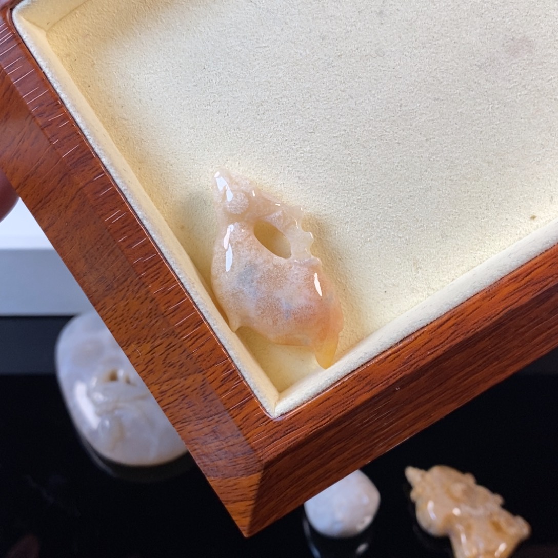 硅化珊瑚（珊瑚玉）未镶嵌颈饰15