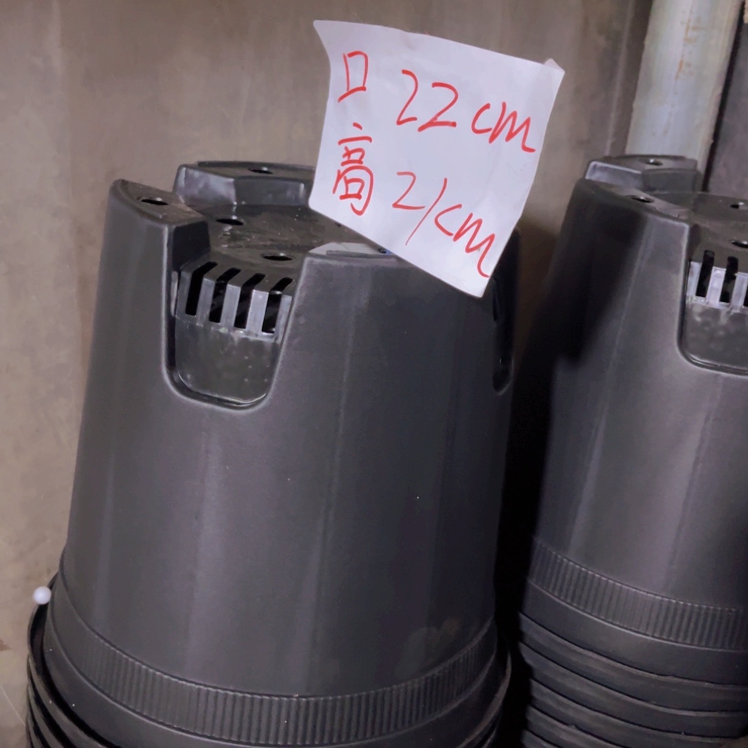 塑料22公分黑加仑盆10个