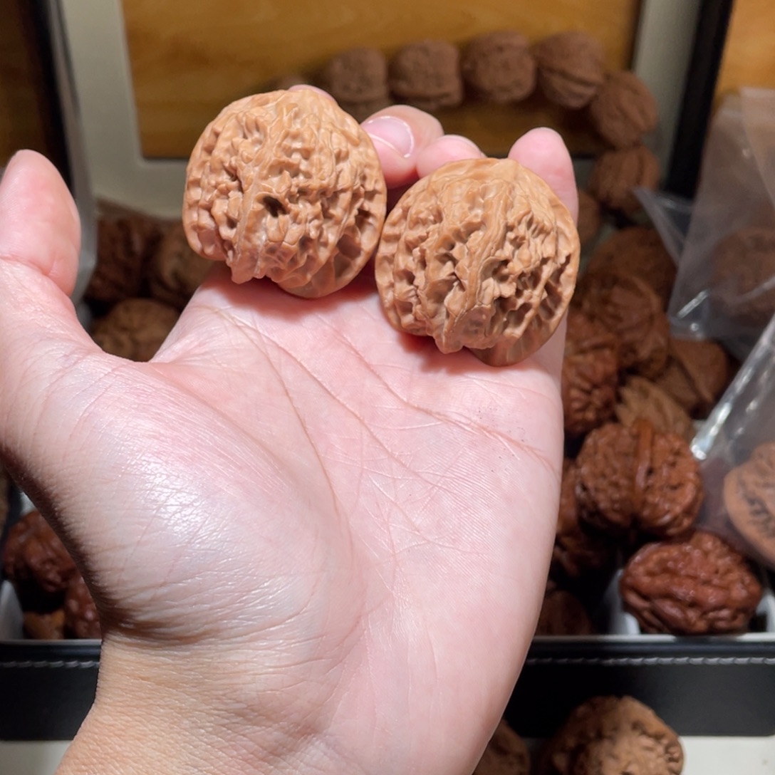 40尺寸全品无修苹果园