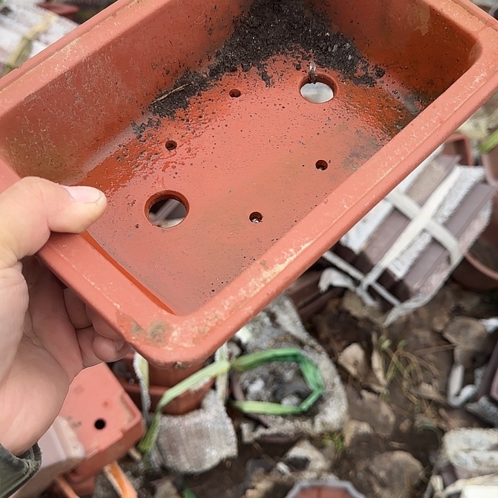 在我眼瞎也不会有一种说