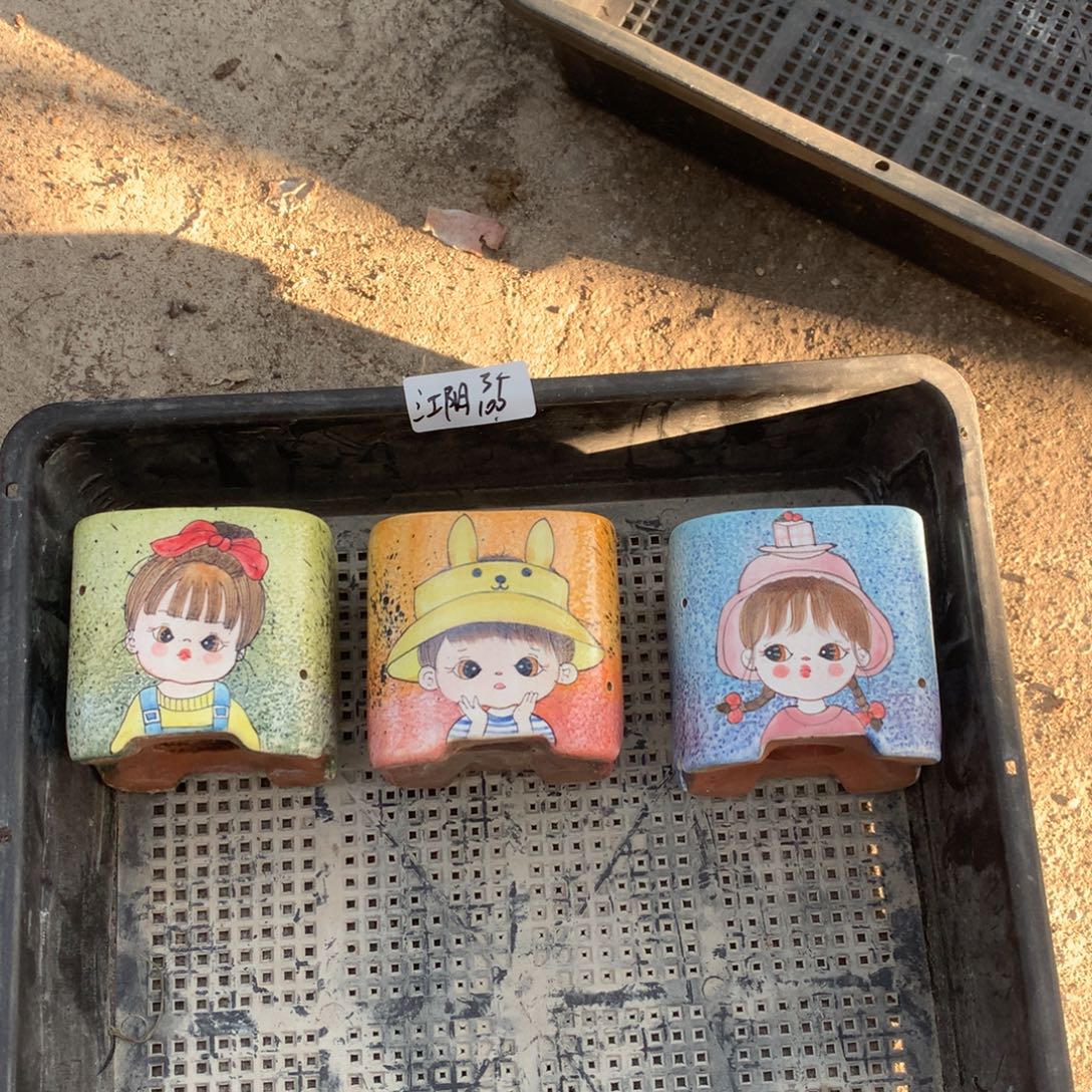 江阴手绘盆100元3