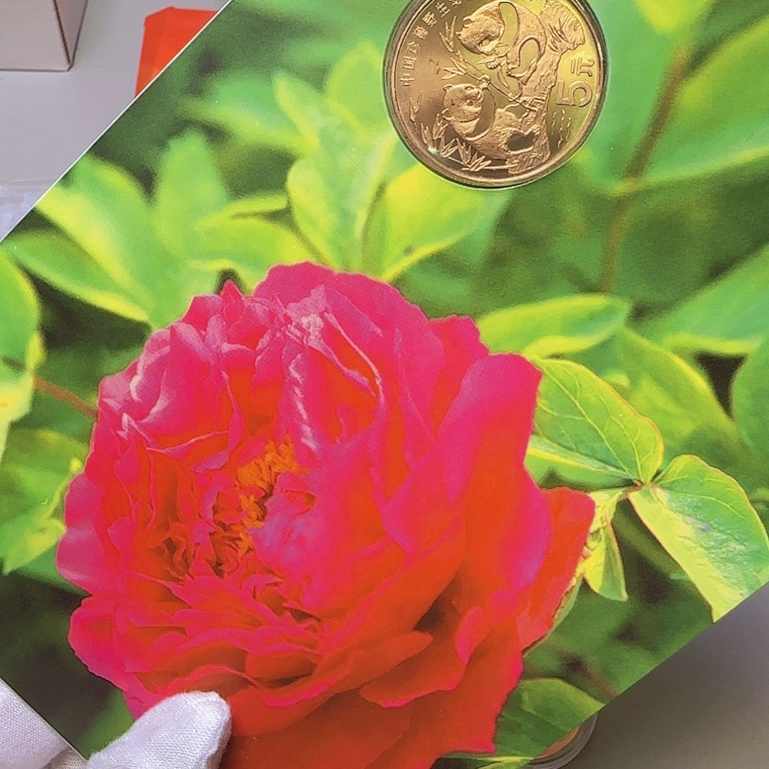 熊猫纪念币春卡福利