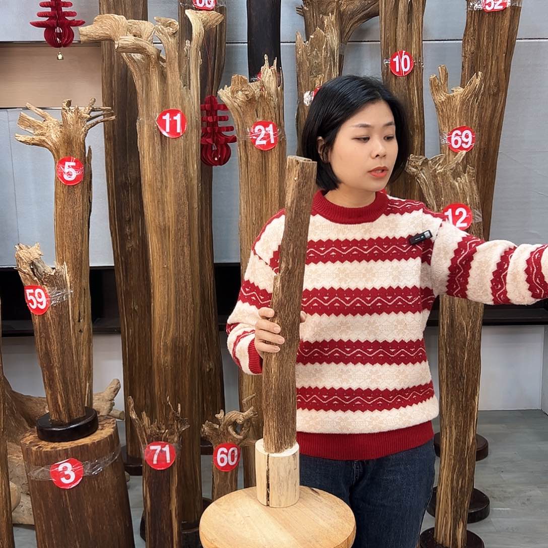 沉香摆件海南沉香摆件