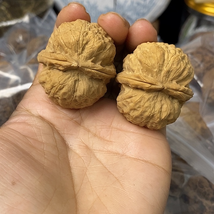 核桃云南铁核桃基地6