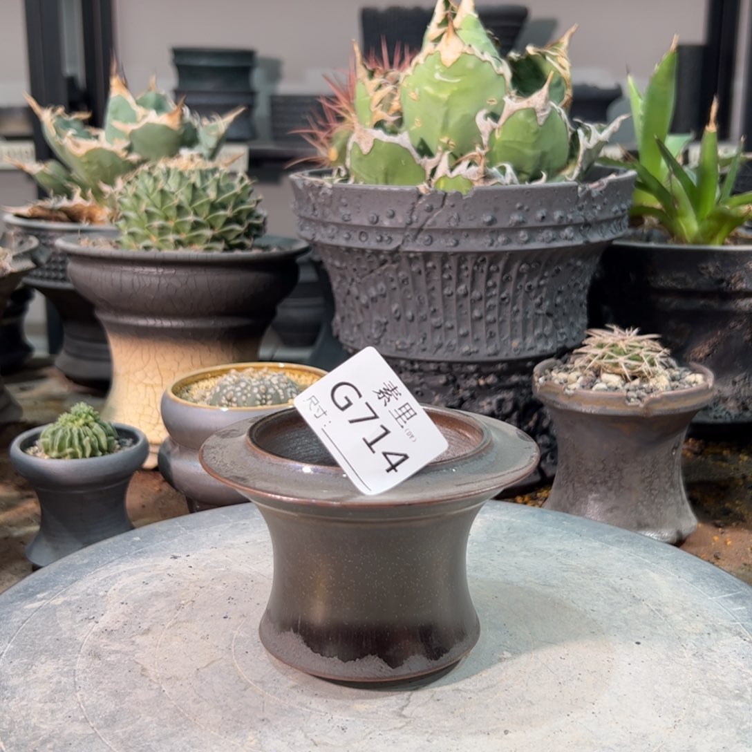 景德镇手工素里内口7.5高7