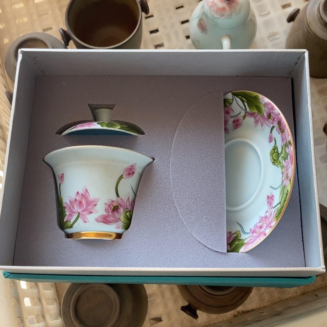 杯直播链接直播链接