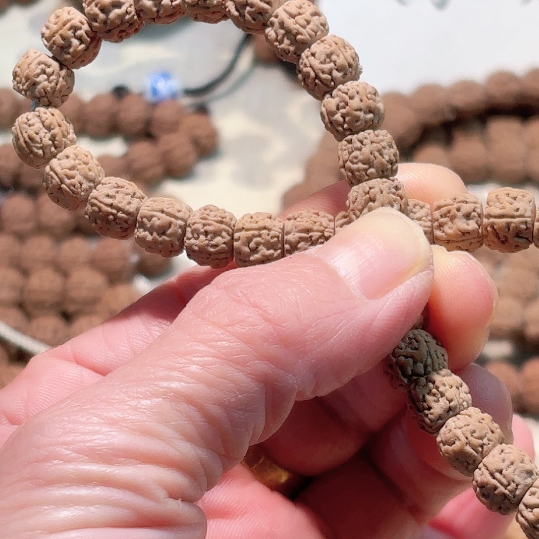 浪***～印度尼西亚小金刚葛地利纯血一代龙手持