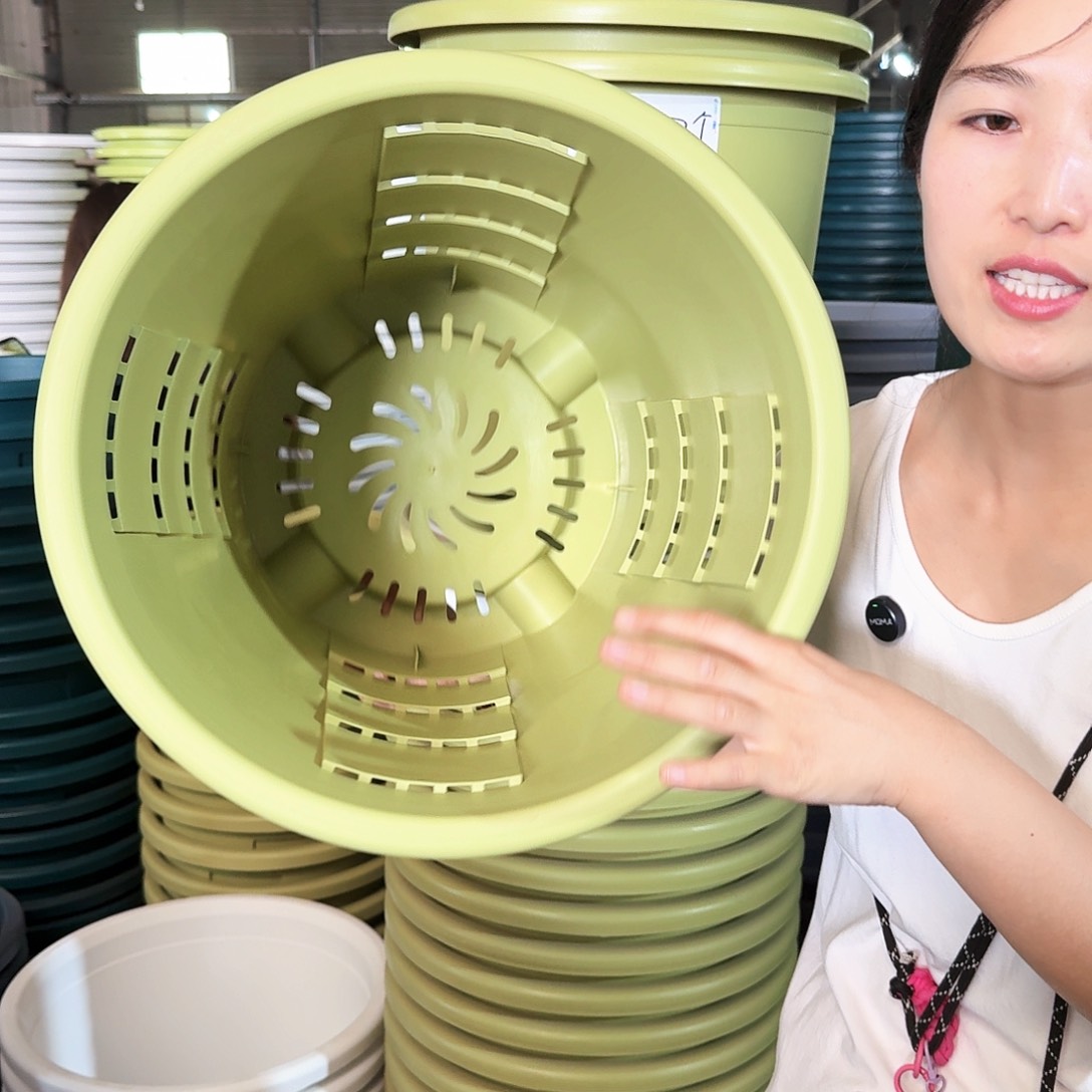 测7无拖果绿色3个