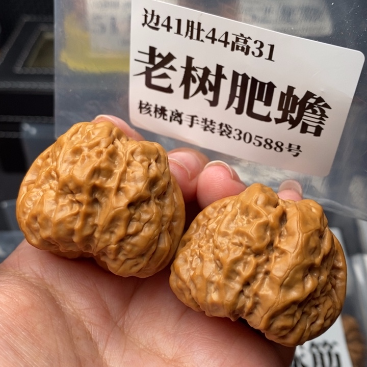 文玩核桃把件41老树肥蟾