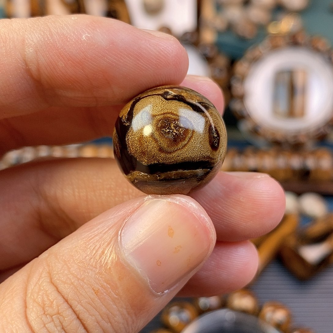 木纯天然海柳血柳20