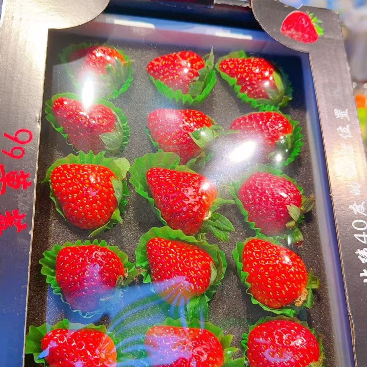 【同城小时达】丹东九九草莓一盒辽宁省