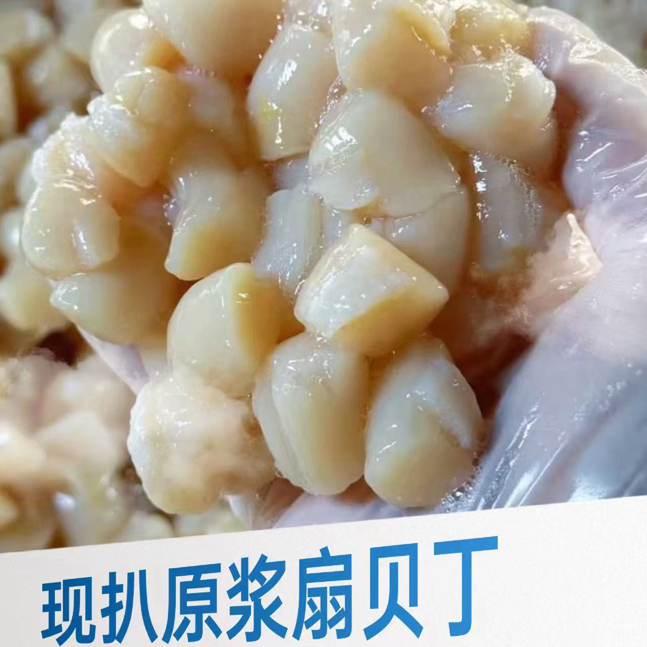 大连杏树屯手扒扇贝丁100-110粒左右/斤-三斤包邮