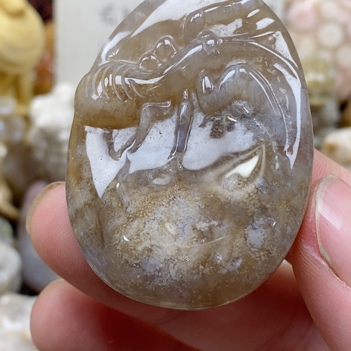 颈饰未镶嵌硅化珊瑚（珊瑚玉）