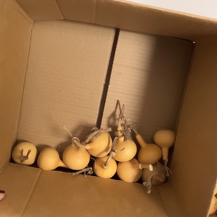 独霸葫芦10个响籽漂亮