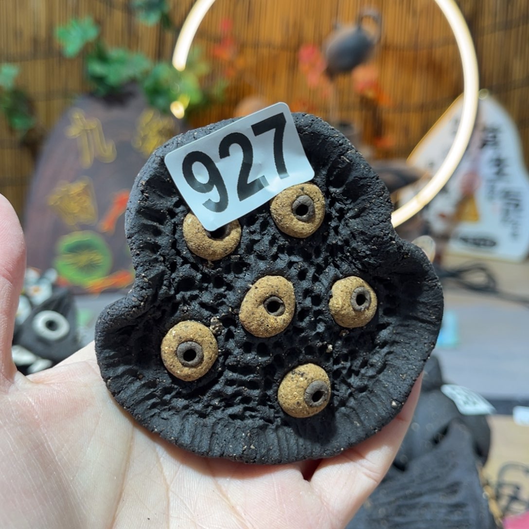 木村信弘柴烧保平