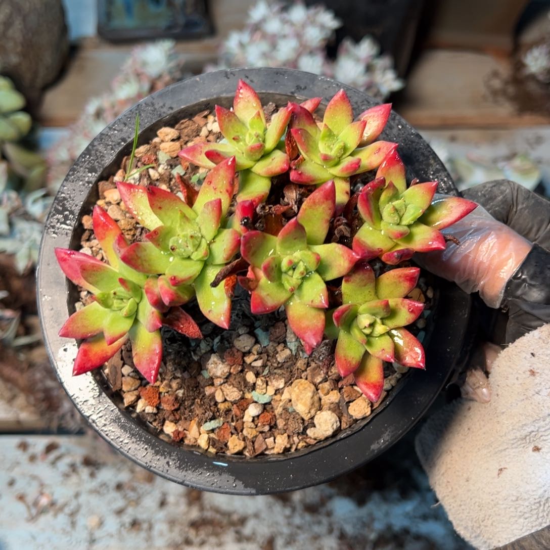 064哈哈哈哈哈哈哈哈