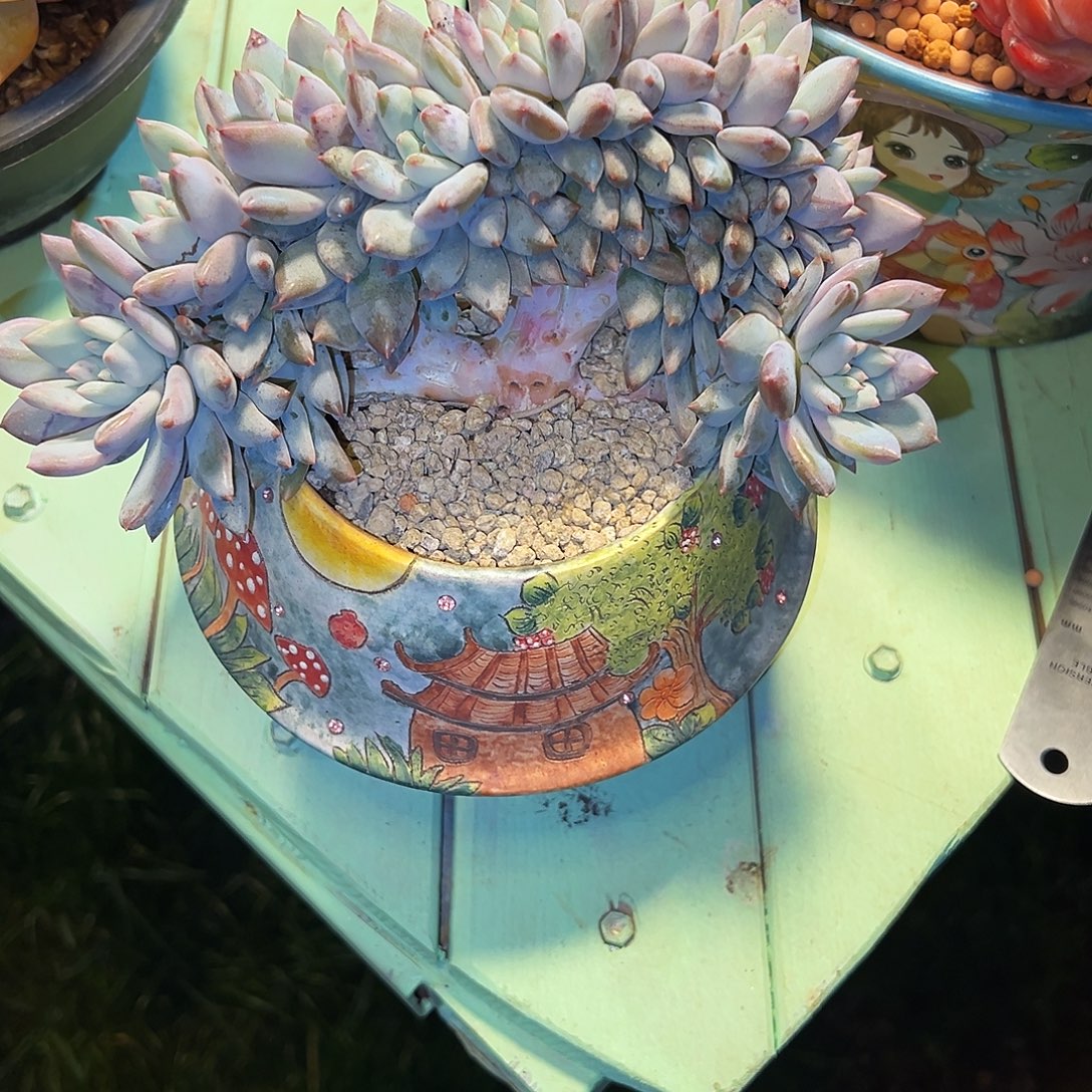 让***儿半夏缀半夏缀半夏缀