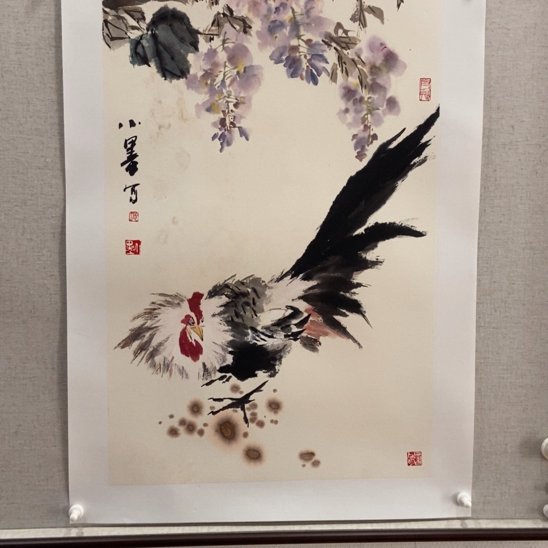 【闪购商品】国画人***在墨鱼精品墨鱼精品