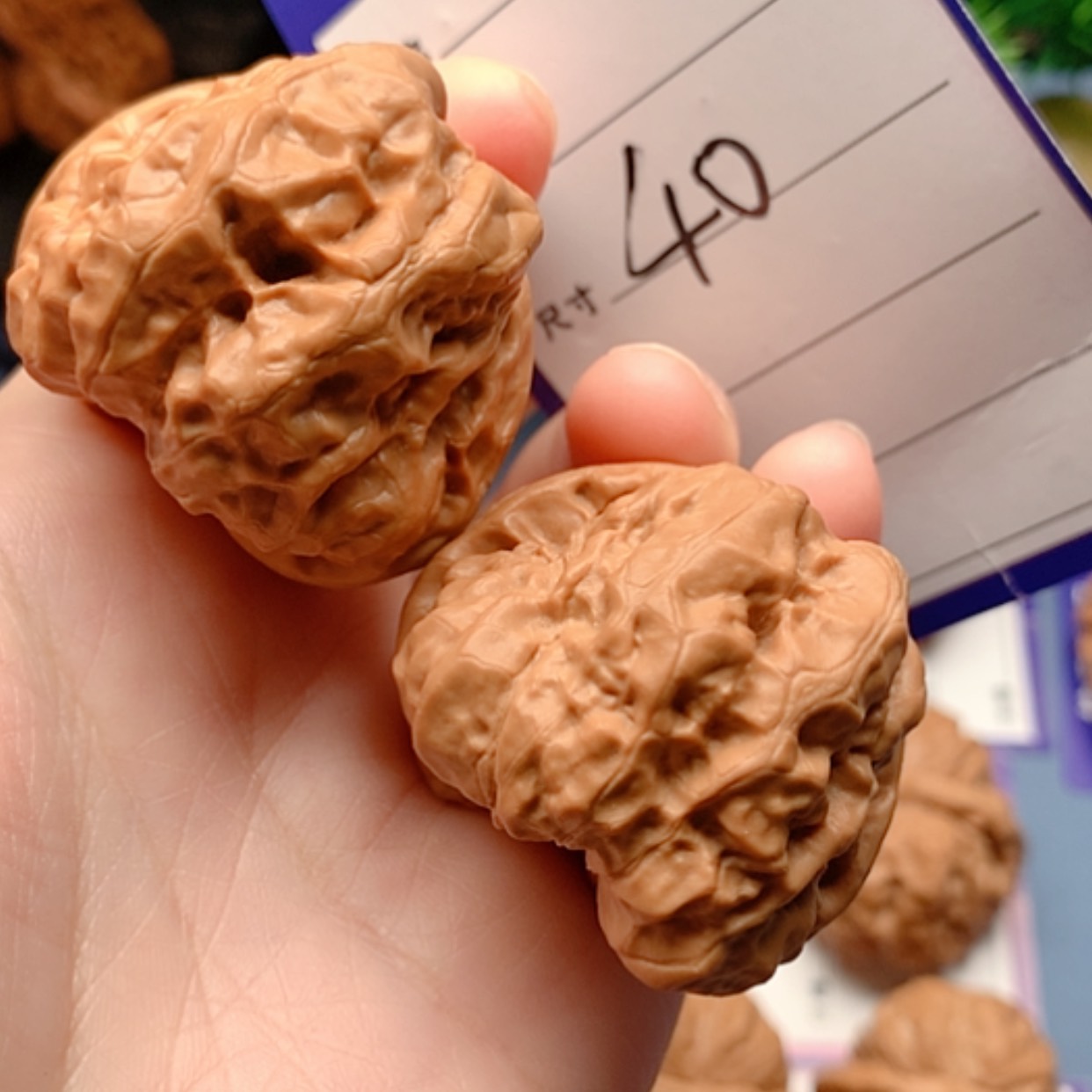 【闪购商品】文玩核桃把件蛙蛙