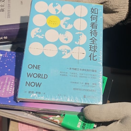 如何看待全球化平装库存书