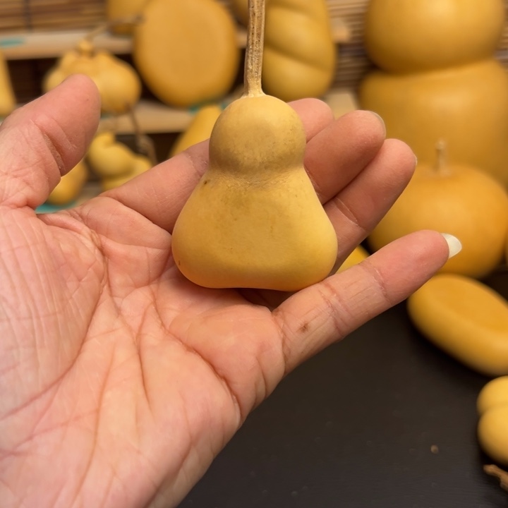 ?*?葫芦葫芦葫芦葫芦葫芦葫芦