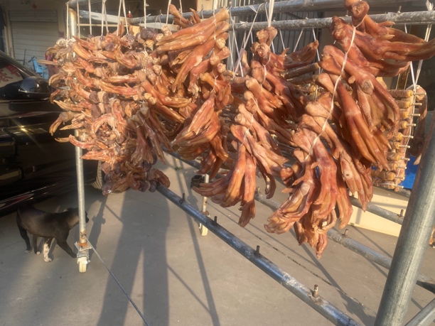 皖西大白鹅大肫爪