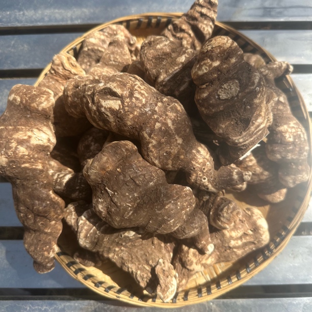 西藏山货高原重搂天赐草透骨草