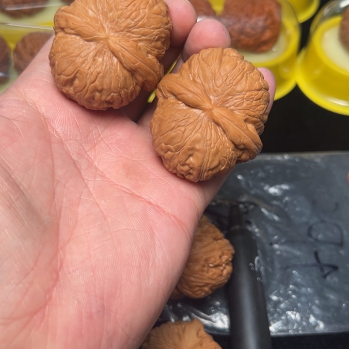 核桃自**在平谷元宝，47已打底