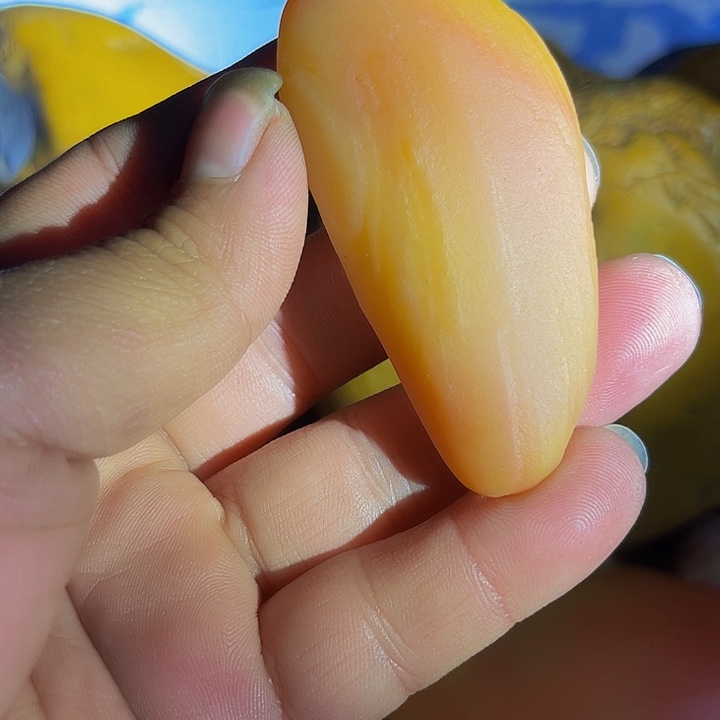 江西石钱****）黄蜡石的设计