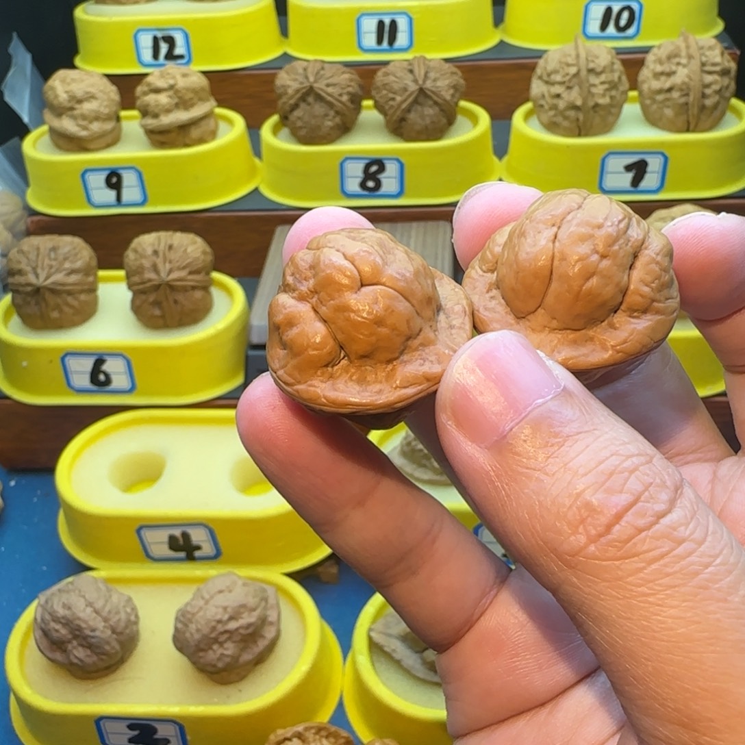 ****帥桃核把件金刚鹦蟾