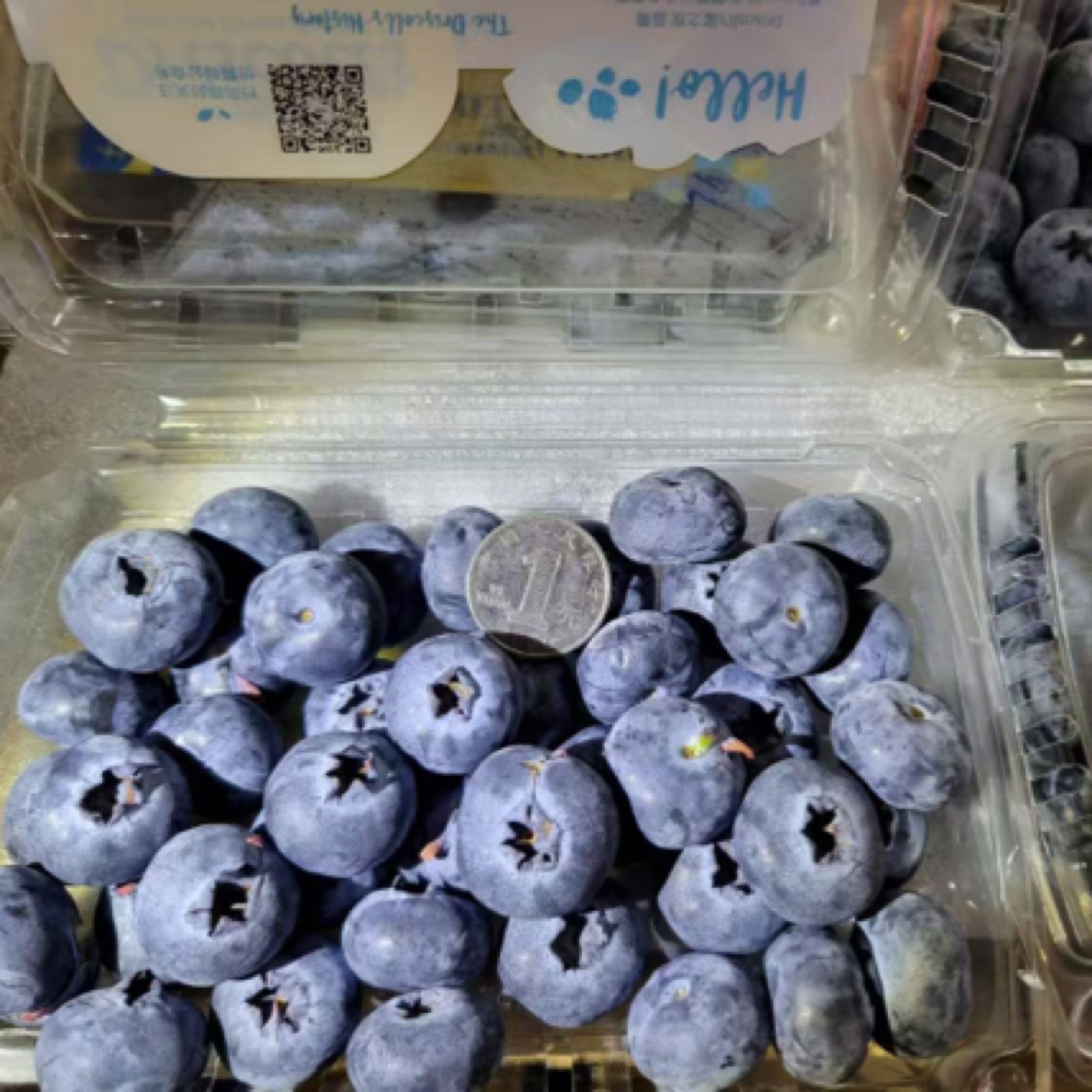 49/盒云南怡颗莓22mm+果王蓝莓200g/盒